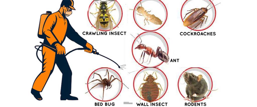 Best Pest Control Services Canada