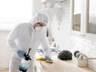 Reliable pest control Calgary from Buzz Boss