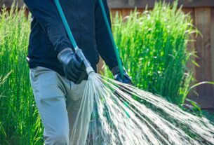 weed control in Edmonton