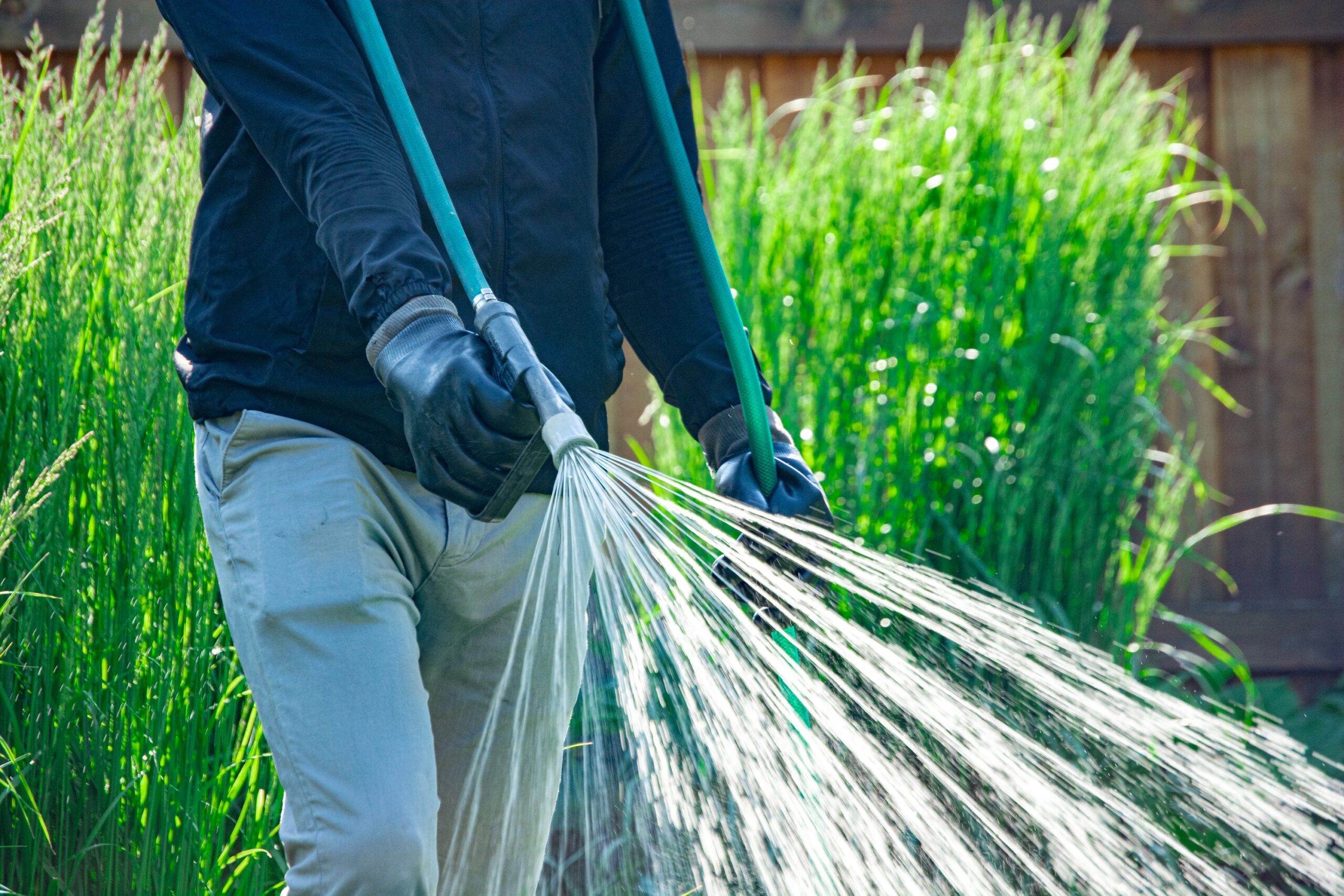 weed control in Edmonton